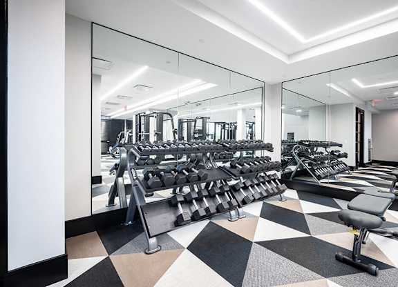 a fully equipped gym with cardio machines and weights at The Belhaven in Alexandria VA