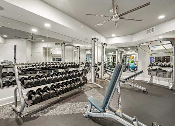 Fitness center weight rack at Norte Town Lake Apartments in Tempe Arizona