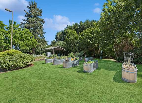 Courtyard garden at Lakewood Meadows Apartments in Lakewood WA