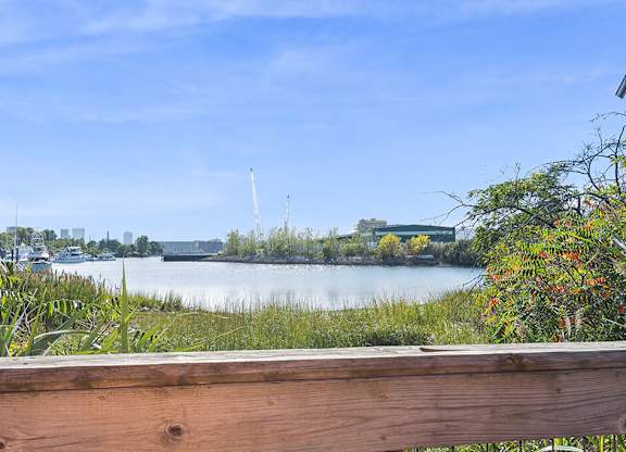 Lake view at Axis Admiral Hill Apartments in Chelsea MA