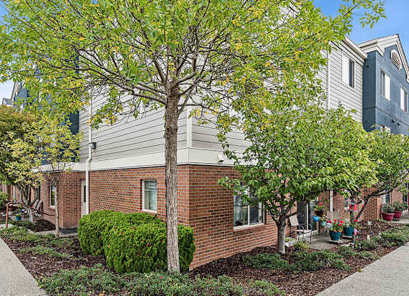 A tree with green leaves is in front of a grey building.