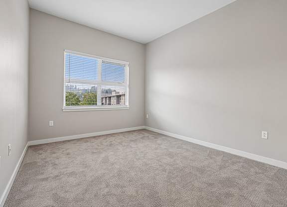 A room with a carpeted floor and a window with blinds.