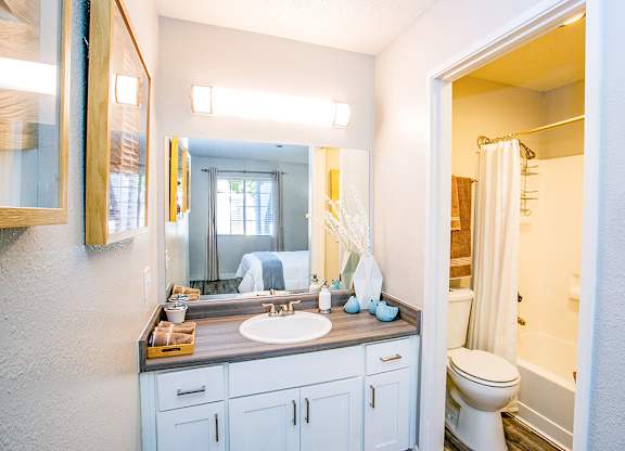 a bathroom with a sink and a toilet and a mirror
