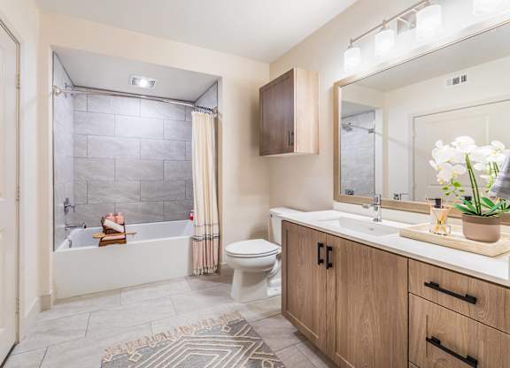 Sepia Design Package Bathroom at The Seaton Apartments in San Diego CA