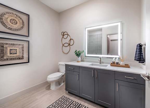 Snow design bathroom at Olivean Apartments in Broomfield CO