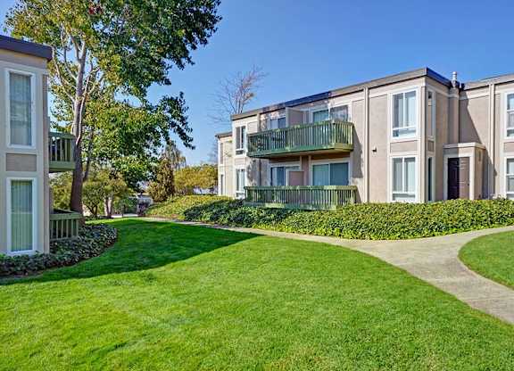 Outside lawn and walkway at Baycliff Apartments in Richmond CA