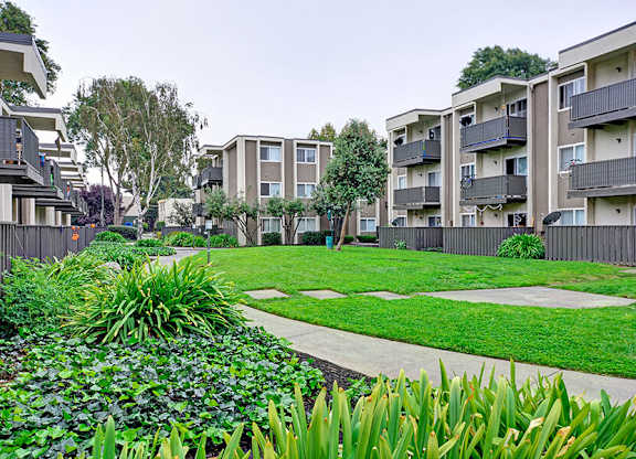Lush lawn at Turnleaf Apartments in San Jose CA
