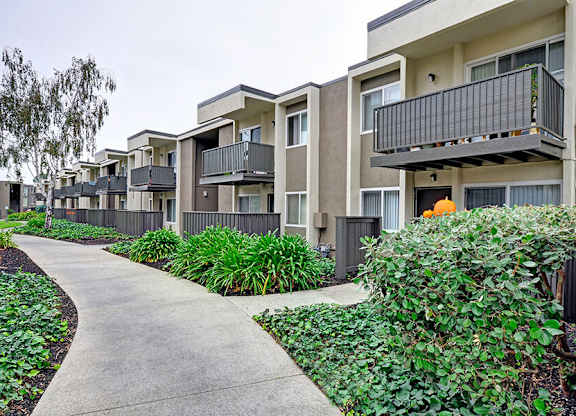 Sidewalk and lawn at Turnleaf Apartments in San Jose CA