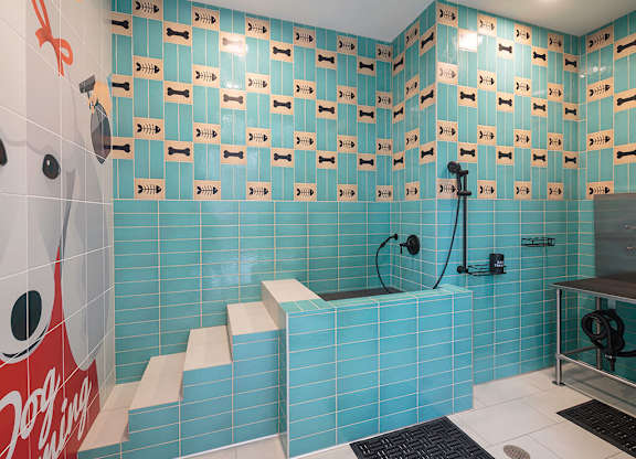 Pet spa at CALIXA Apartment Homes in Camarillo CA