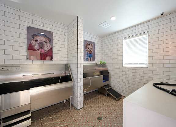 Pet spa at Verge Apartments in Atlanta GA