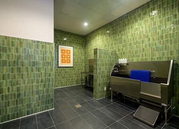 Pet wash area at Coasterra Apartments in Fort Lauderdale FL