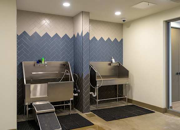 Pet Wash Station at Vero Apartments in Chelsea MA