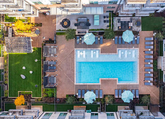Aerial shot of the pool at Luca Apartments in Austin TX