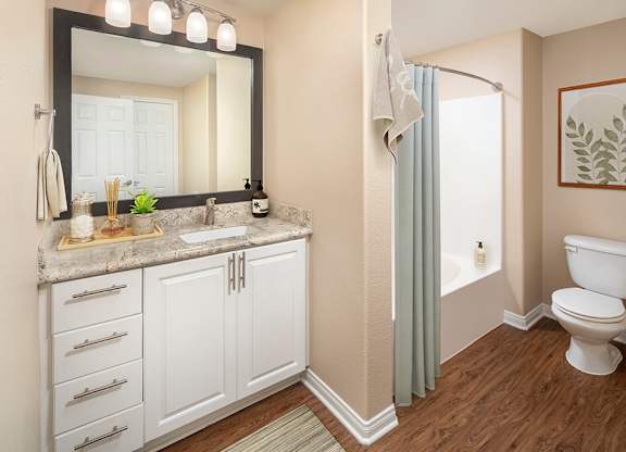 Bathroom at Cresterra Apartments in San Marcos CA