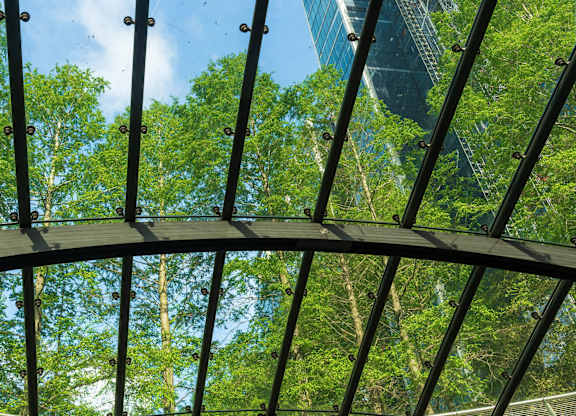 A metal structure with a view of trees and the sky.