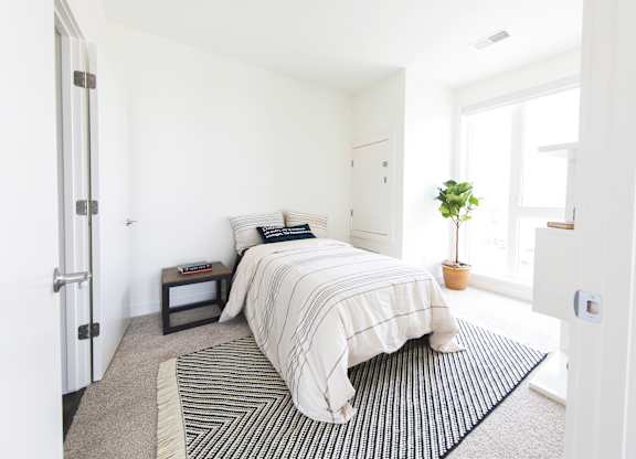 A bedroom with a bed, pillows, a small table, and a potted plant.