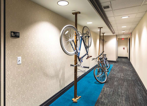 Bike stand1 at The Malcomson, Michigan