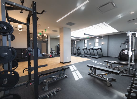 GYM at The Press/321, Michigan