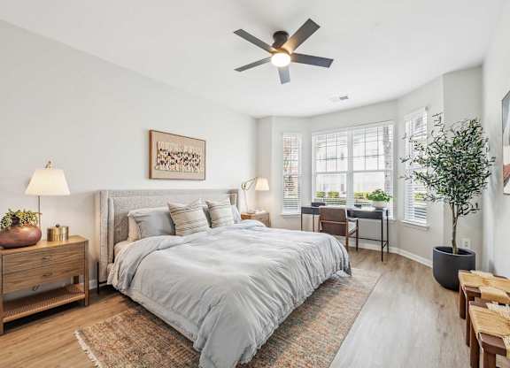 A bedroom with a large bed, a ceiling fan, and a wooden nightstand with a lamp and a plant on it.