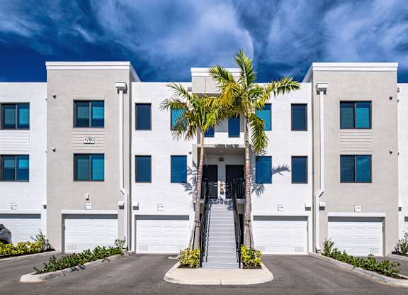 A white building with a palm tree in front.