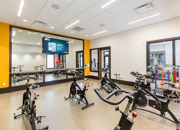 A gym with a variety of exercise bikes.