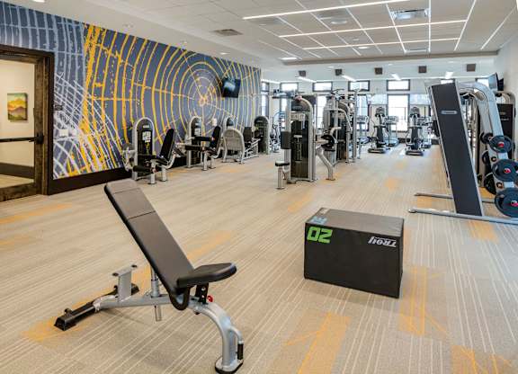A gym with a variety of equipment including a bench, weights, and a treadmill.