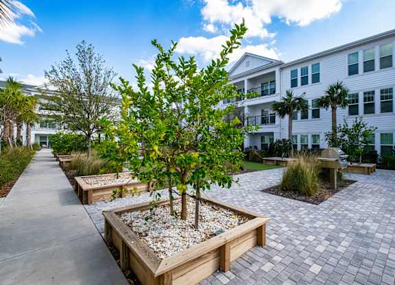 A tree in a planter box is the focal point of a walkway.
