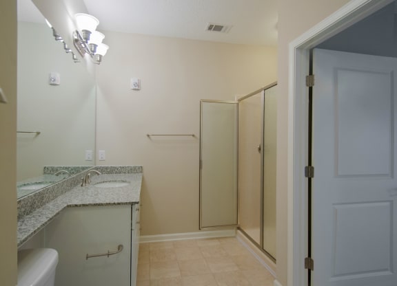bathroom with walk-in shower