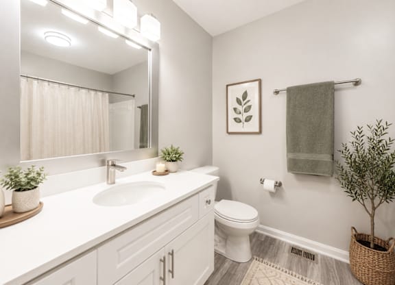 A bathroom with a white sink and toilet, a mirror, a potted plant, and a towel hanging on the wall.