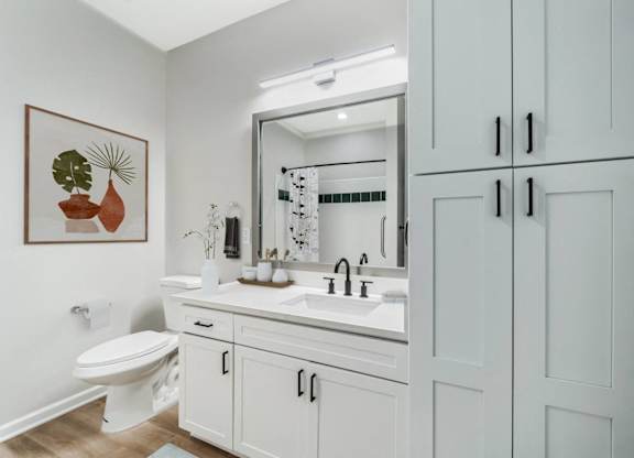 a bathroom with a sink and a toilet and a mirror