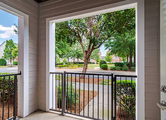 A view from a house through a sliding glass door.