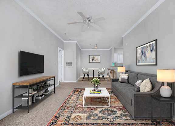 A living room with a grey couch, a coffee table, a television, and a rug.