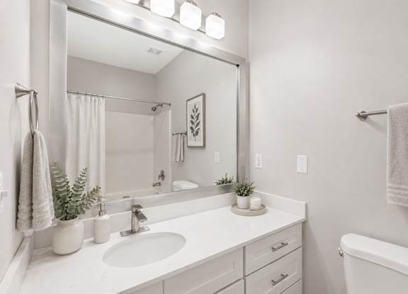 A white bathroom with a sink, mirror, and a plant.