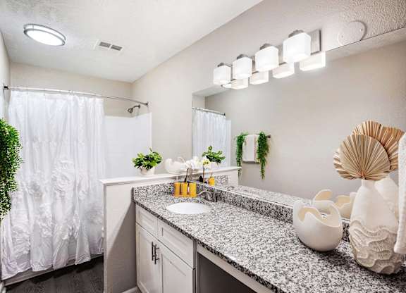 A bathroom with a sink, mirror, and a potted plant.