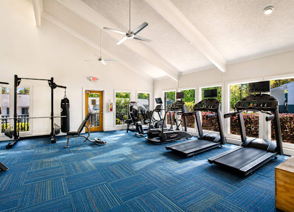 A gym with a variety of equipment including treadmills, weights, and a fan.
