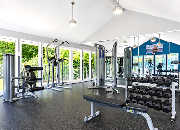 A gym with a variety of equipment including weights and a rowing machine.