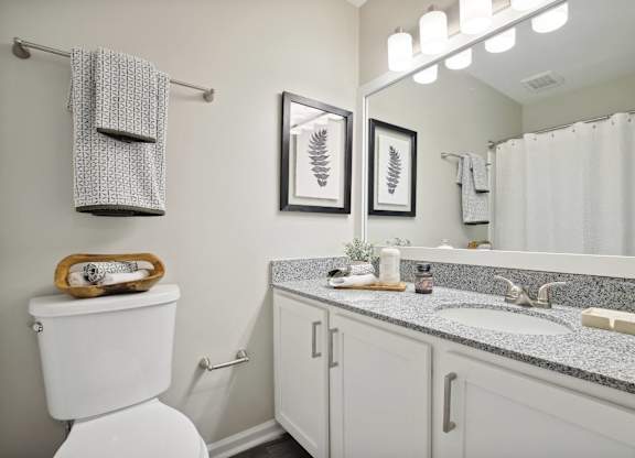 Bathroom With Vanity Lights at The Brookwood, Homewood, AL, 35209