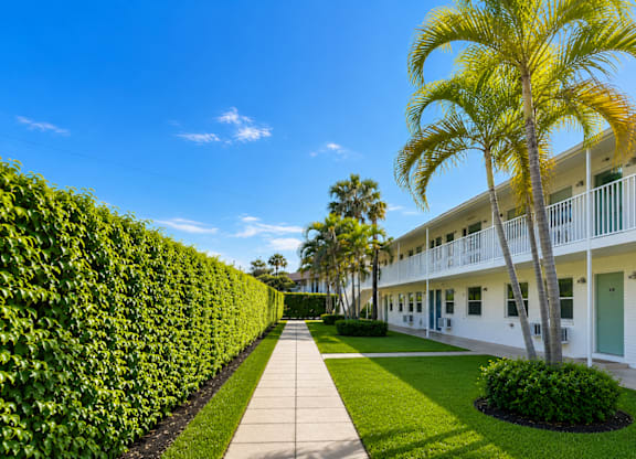 A pathway leads to a white building with a palm tree in front.