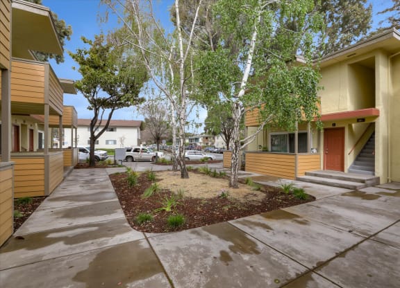 a sidewalk in front of a building with trees