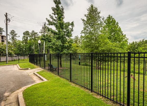 fenced-in dog park