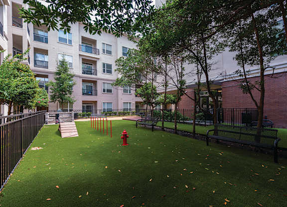 dog park at Ascent at City Centre
