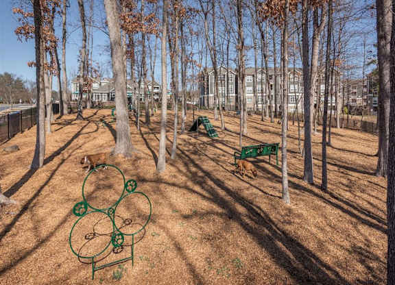 Paw Park
