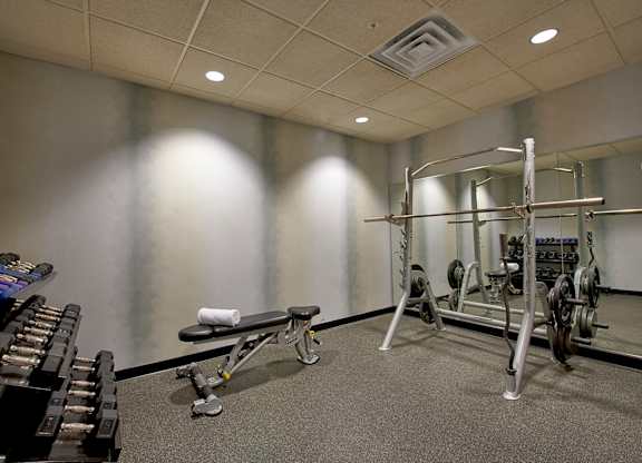 A gym with a bench, weights, and a squat rack.