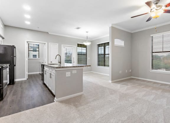 Kitchen And Living at The Vista on Brodie, Texas, 78745