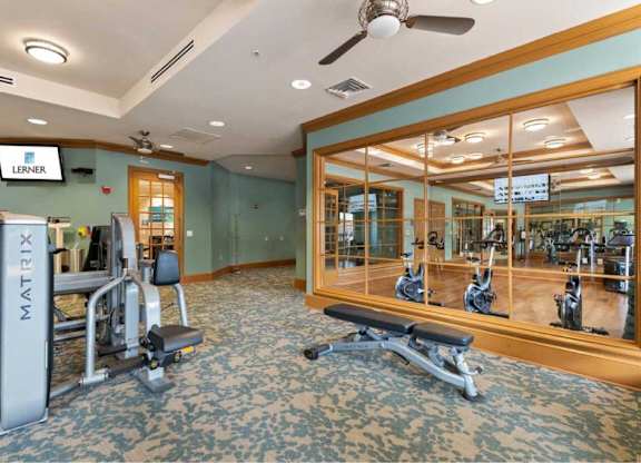 a gym with weights and a mirror in a home gym