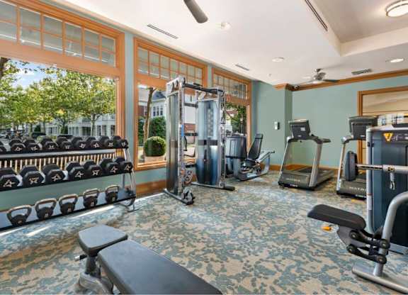 the gym is equipped with cardio equipment and weights