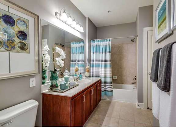 a bathroom with a sink and a shower and a mirror