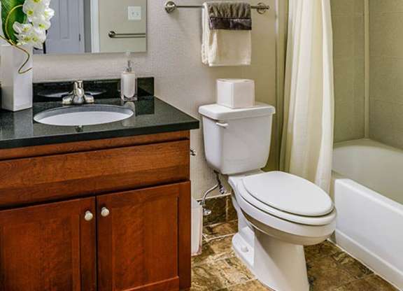 a bathroom with a toilet and a sink and a mirror