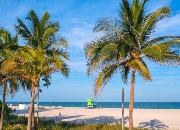 a beach with palm trees and the ocean in the background