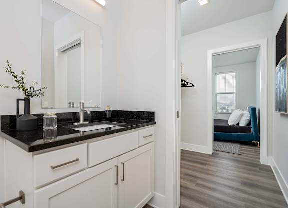 A bathroom with a sink, mirror, and a plant.